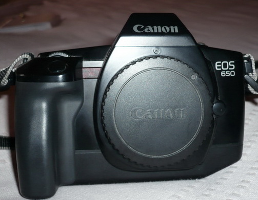 P1010096_resize_resize.jpg