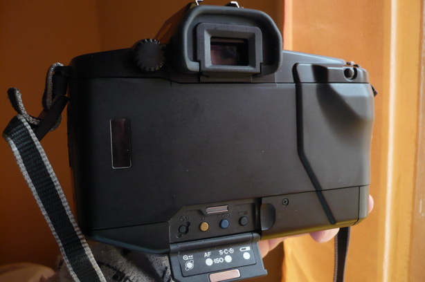 P1010102_resize_resize.JPG