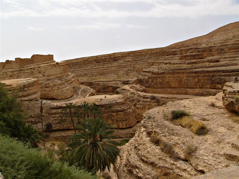 P1010105 (Medium).JPG