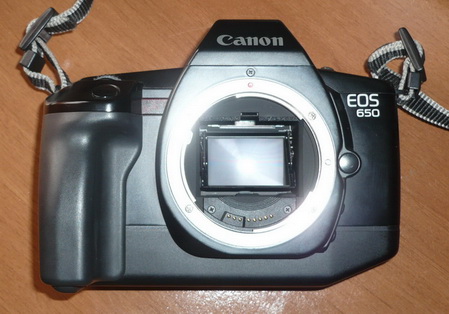 P1010129_resize_resize.JPG