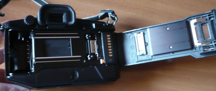 P1010138_resize_resize.JPG