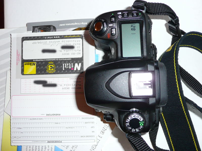 P1010218a.jpg
