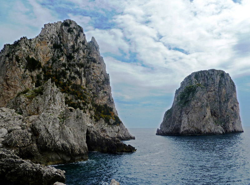 P1010221-4.jpg