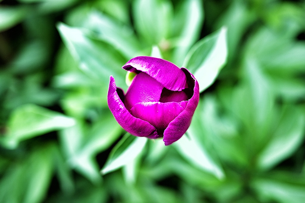 P1010231.jpg