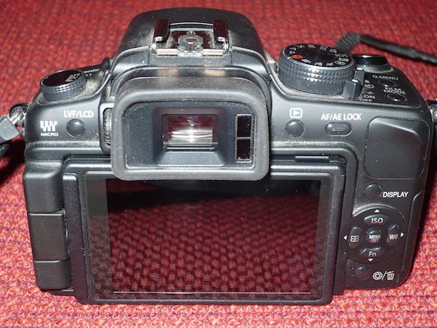 P1010342.JPG
