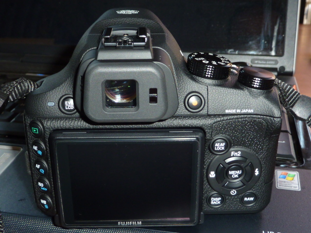 P1010371.JPG