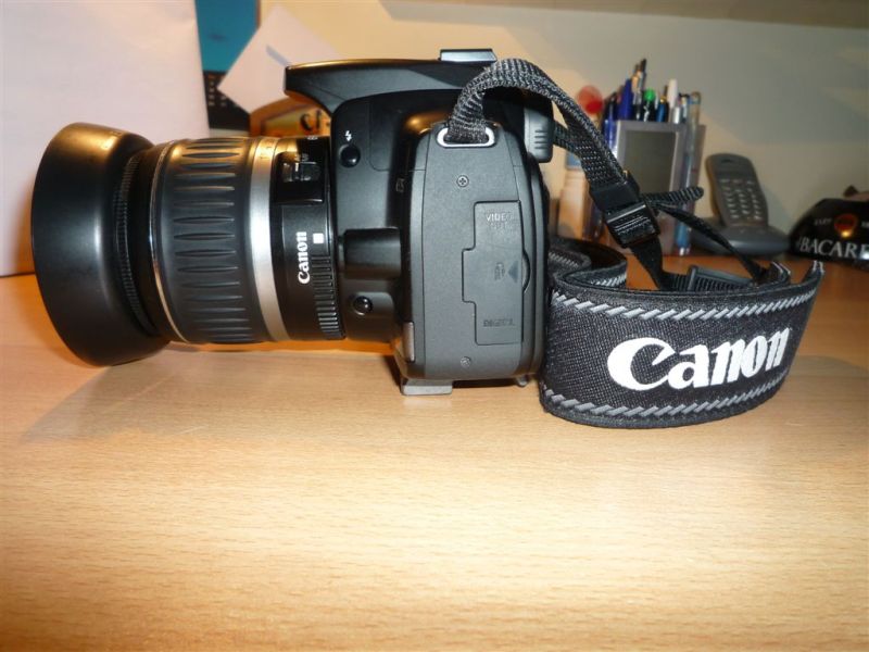 P1010371.JPG