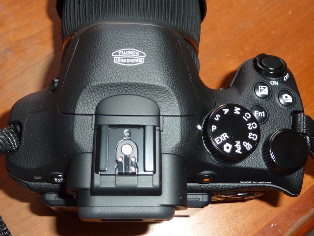 P1010372.JPG