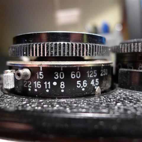 P1010375 (Small).JPG