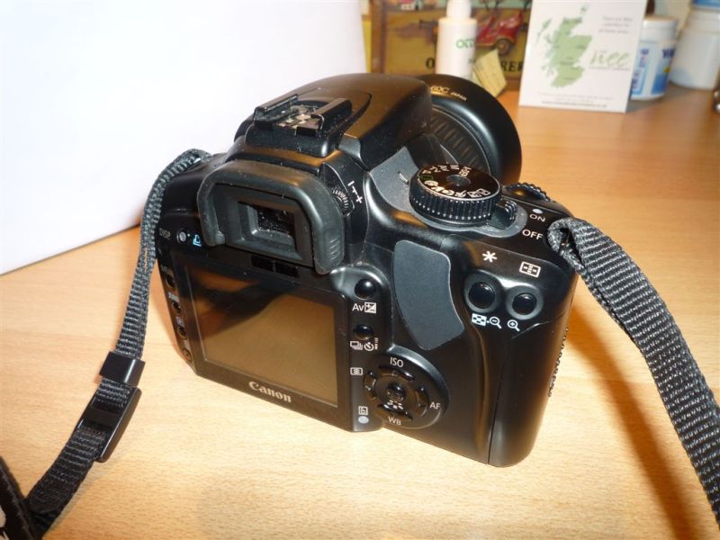 P1010376.JPG