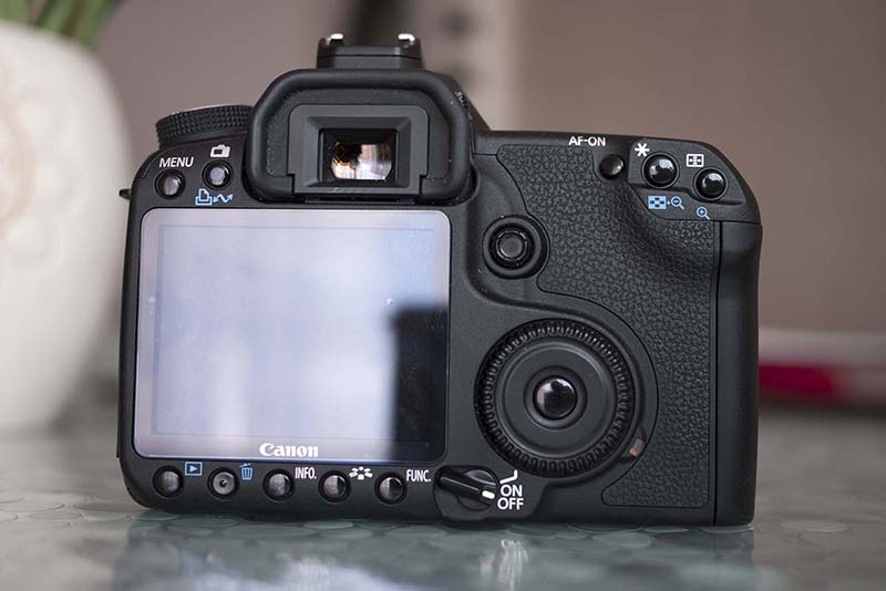 P1010376_1.jpg
