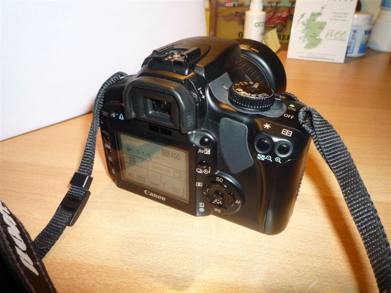 P1010377.JPG