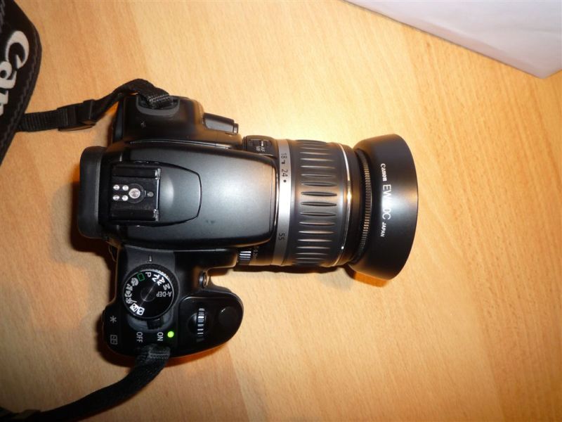 P1010378.JPG
