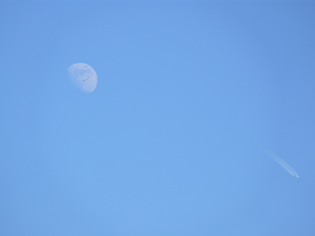 P1010446.jpg