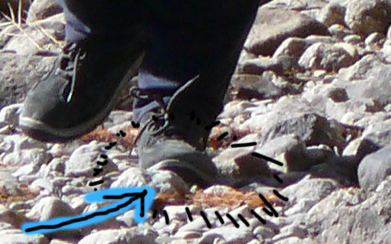 P1010486bweb.jpg