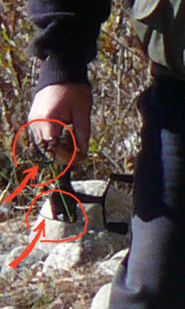 P1010486cweb.jpg