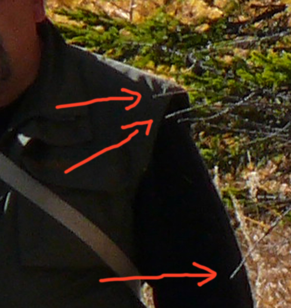 P1010486WEB.jpg