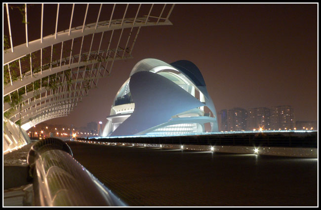 P1010497_650.jpg