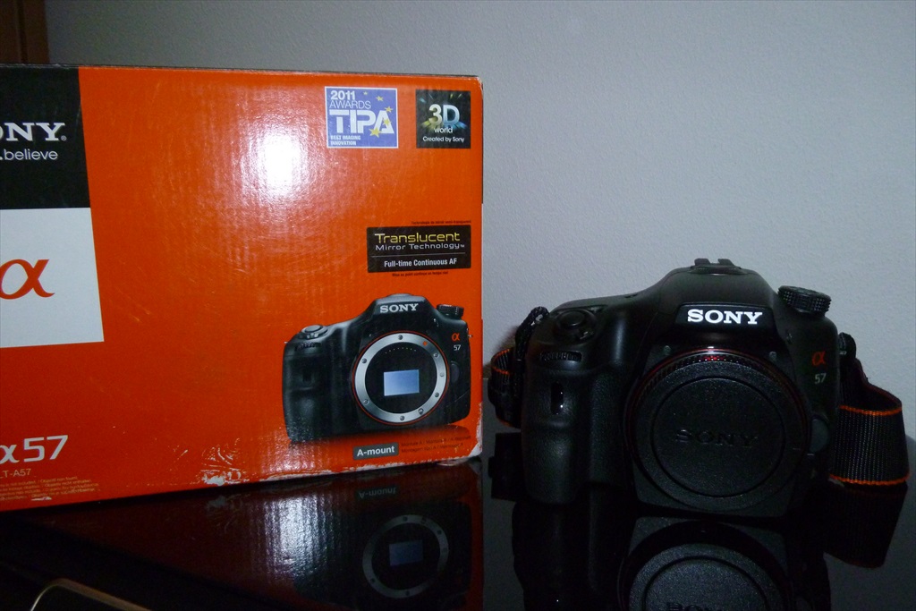 P1010551.JPG