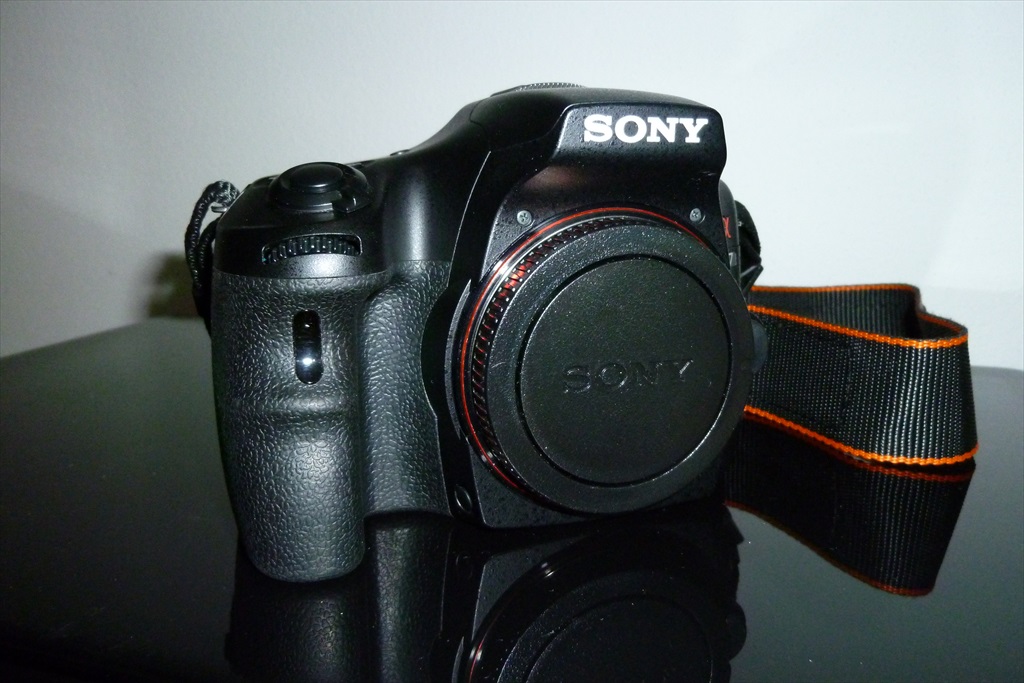 P1010552.JPG