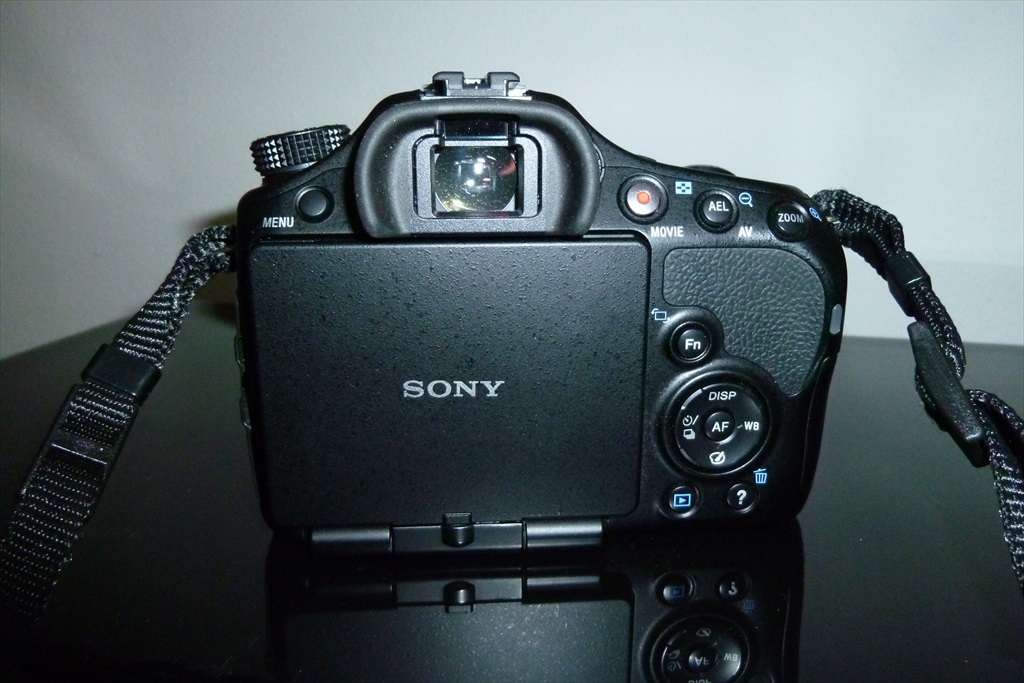 P1010553.JPG