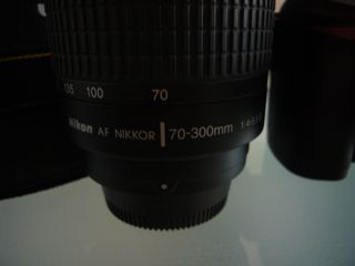 P1010556.jpg