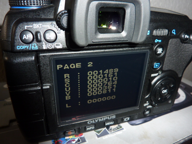 P1010591.JPG