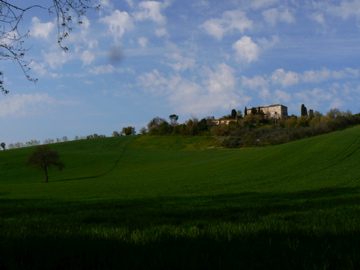 P1010619.jpg