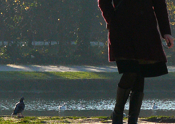 P1010628C.jpg