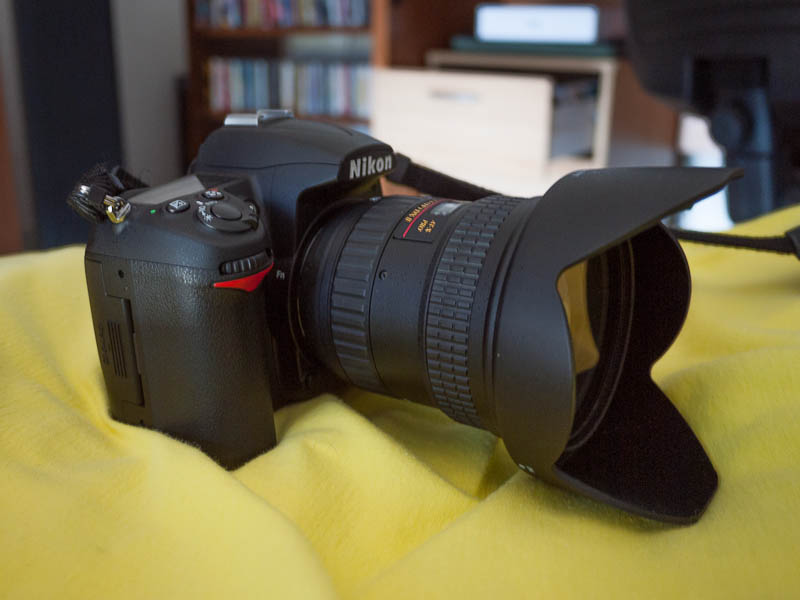 P1010641.jpg