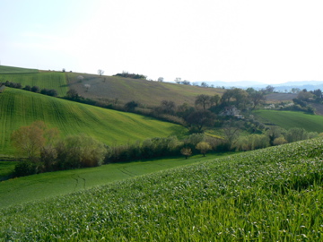 P1010665.jpg