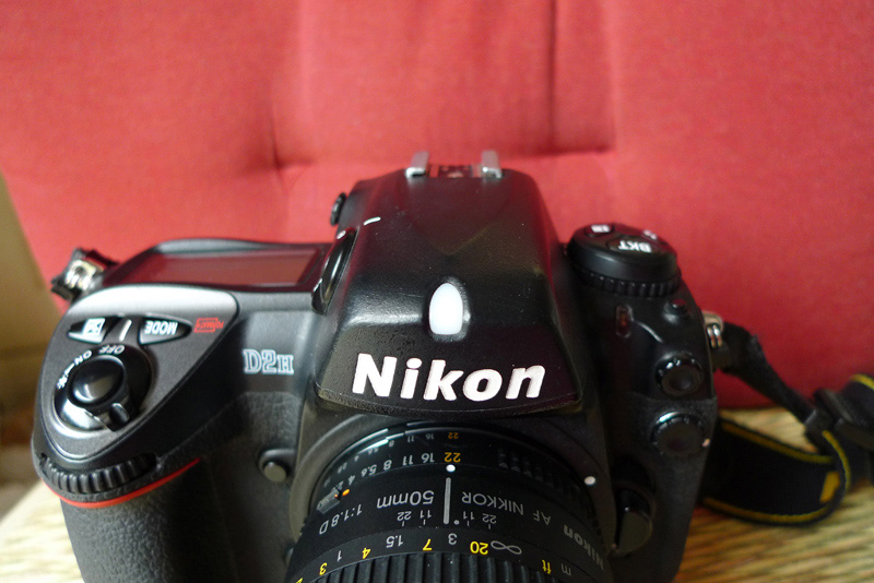 P1010738b.jpg