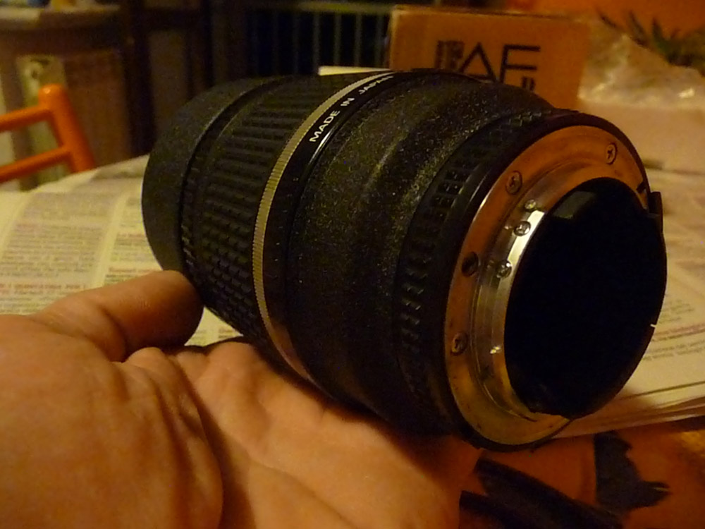 P1010942w.jpg