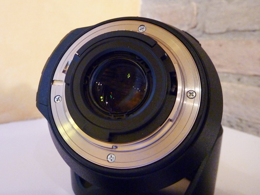 P1010968_ridimensionare.jpg