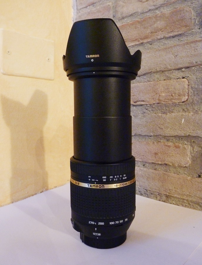 P1010969_ridimensionare.jpg
