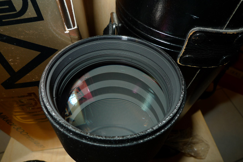 P1010989b.jpg