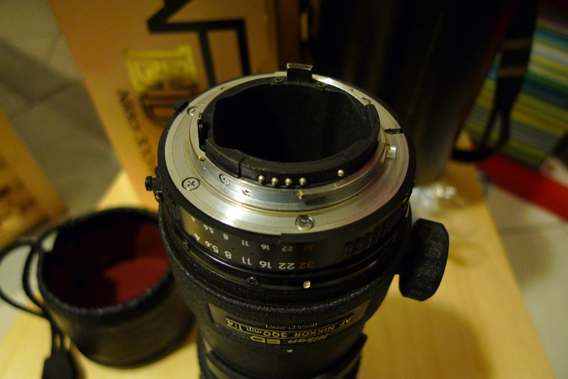P1010999b.jpg