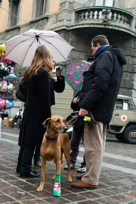 P1014297.jpg