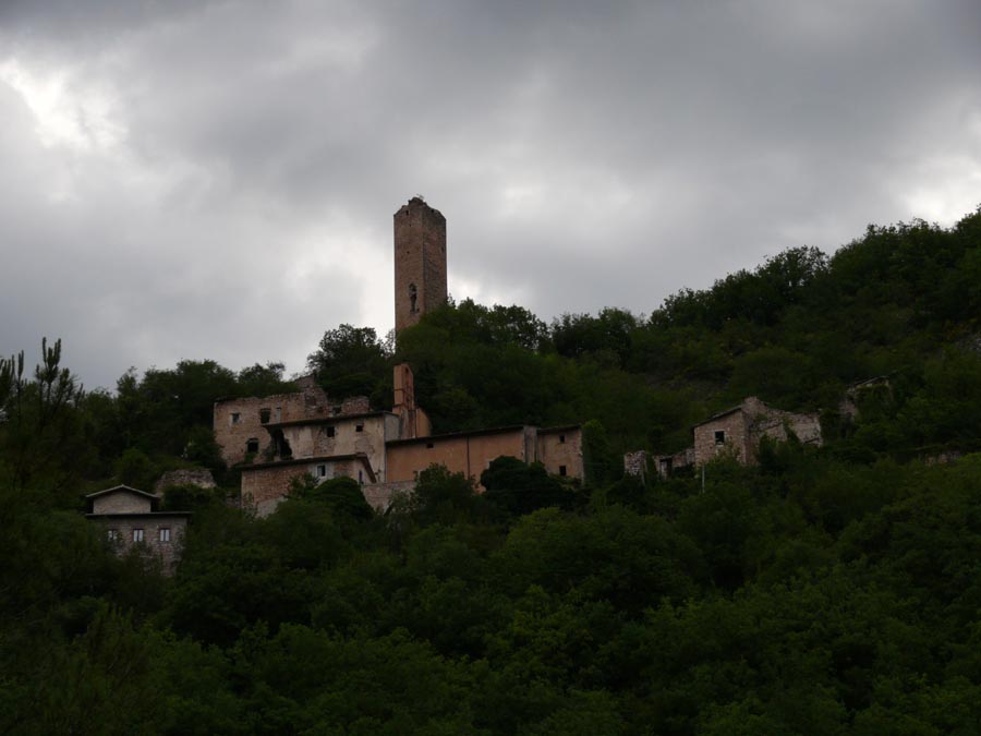 p1020030_web.jpg
