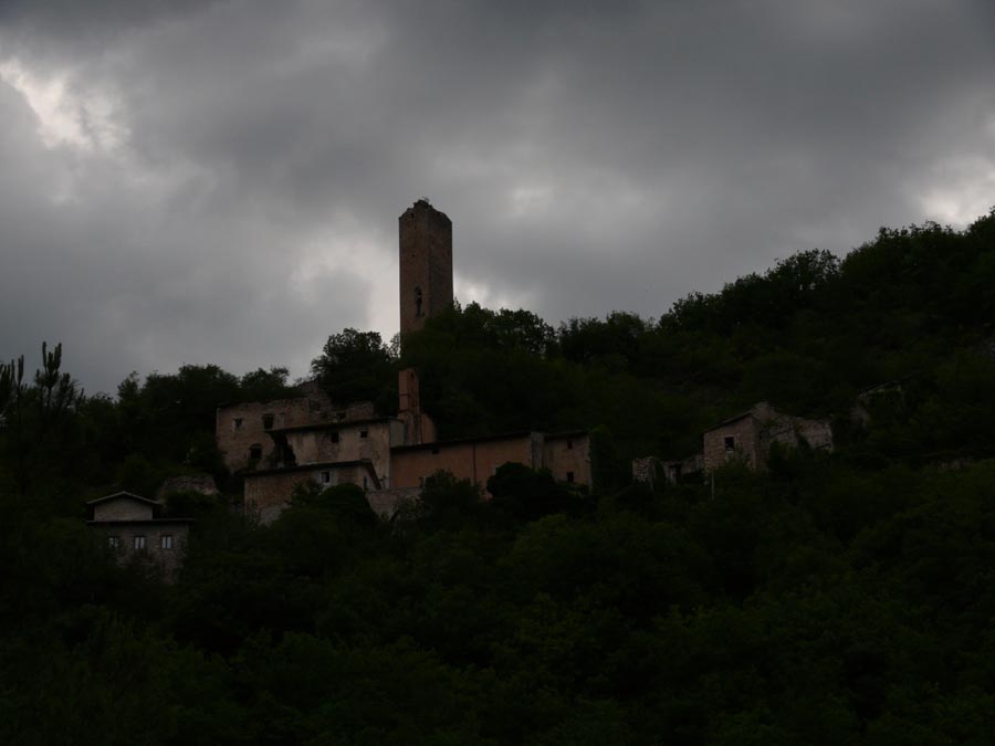 p1020031_web.jpg