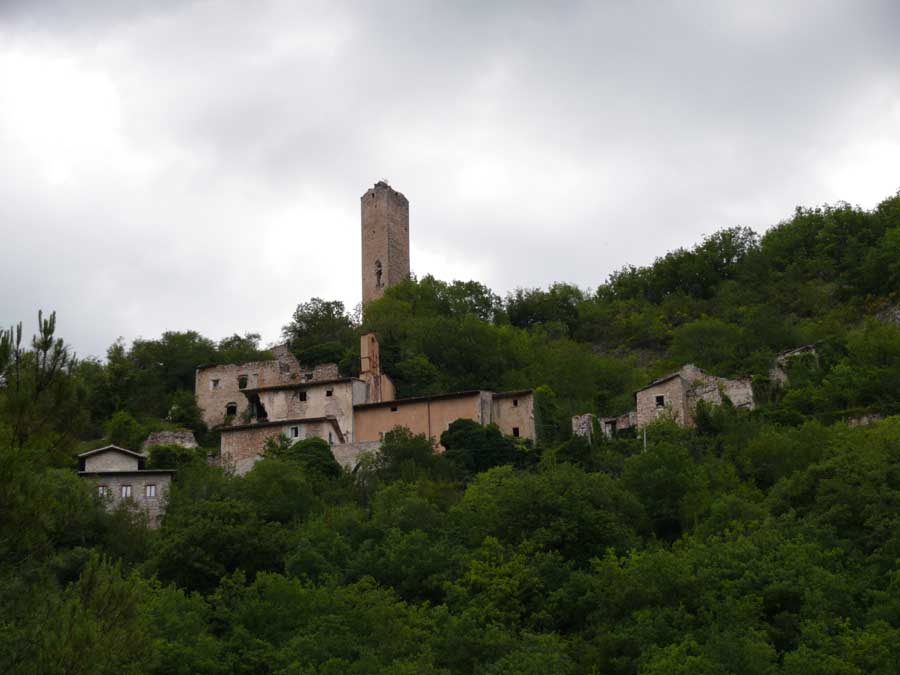 p1020032_web.jpg