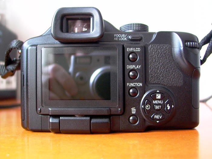 P1020046.JPG