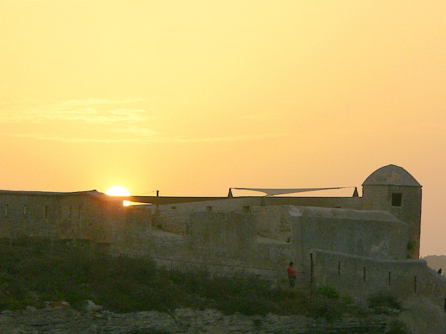 P1020166.jpg