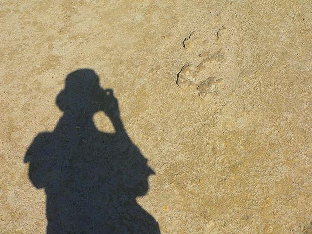 P1020211.jpg