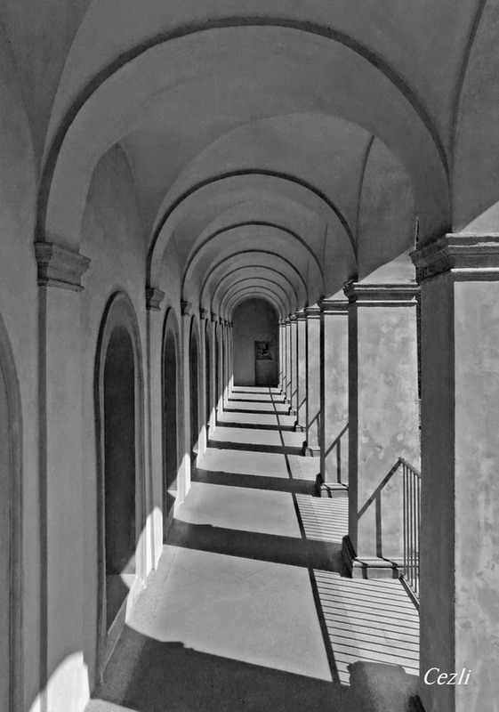P1020313 cs bw.jpg