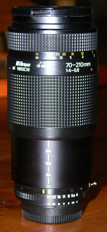 P1020442.jpg
