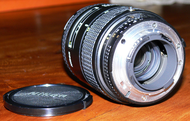 P1020444.jpg