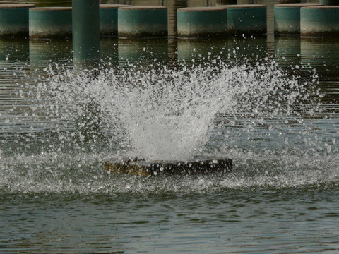 P1020625resize.jpg