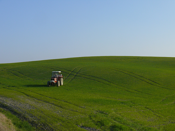 P1020720-2.jpg