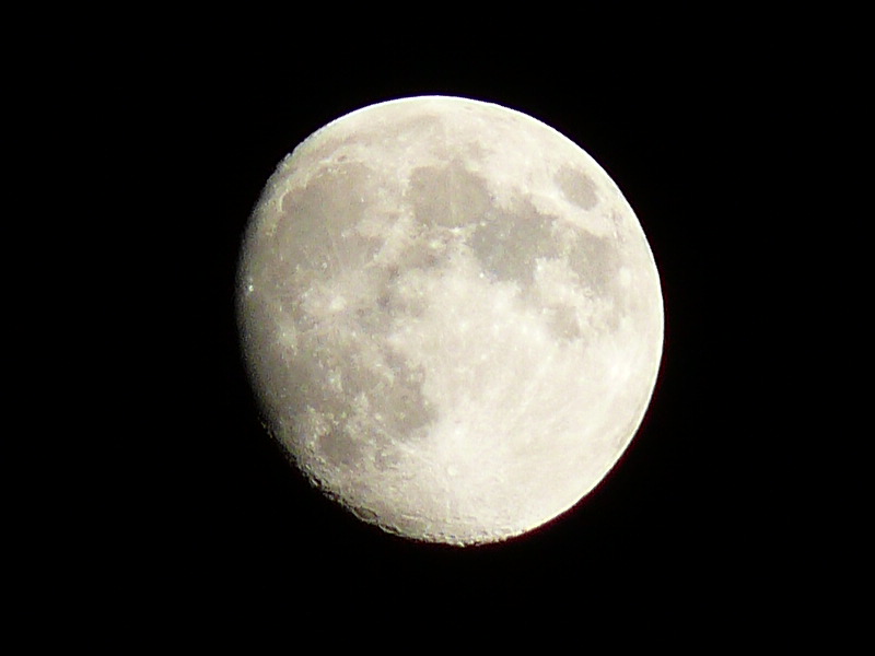 P1020807_cr_cr.jpg